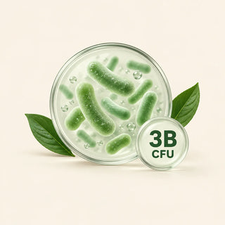 Probiotic Blend (3B CFU)