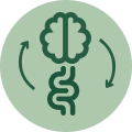 Supports Gut-Brain Balance (Around the Clock)