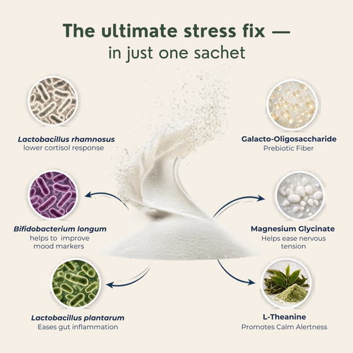 Sleep & Gut Rest Combo- EquaRest Sleep Support Gummies + EquaBiome Stress Smart Probiotics