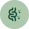 Nourishes Beneficial Gut Bacteria