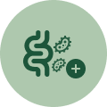 Nourishes Beneficial Gut Bacteria